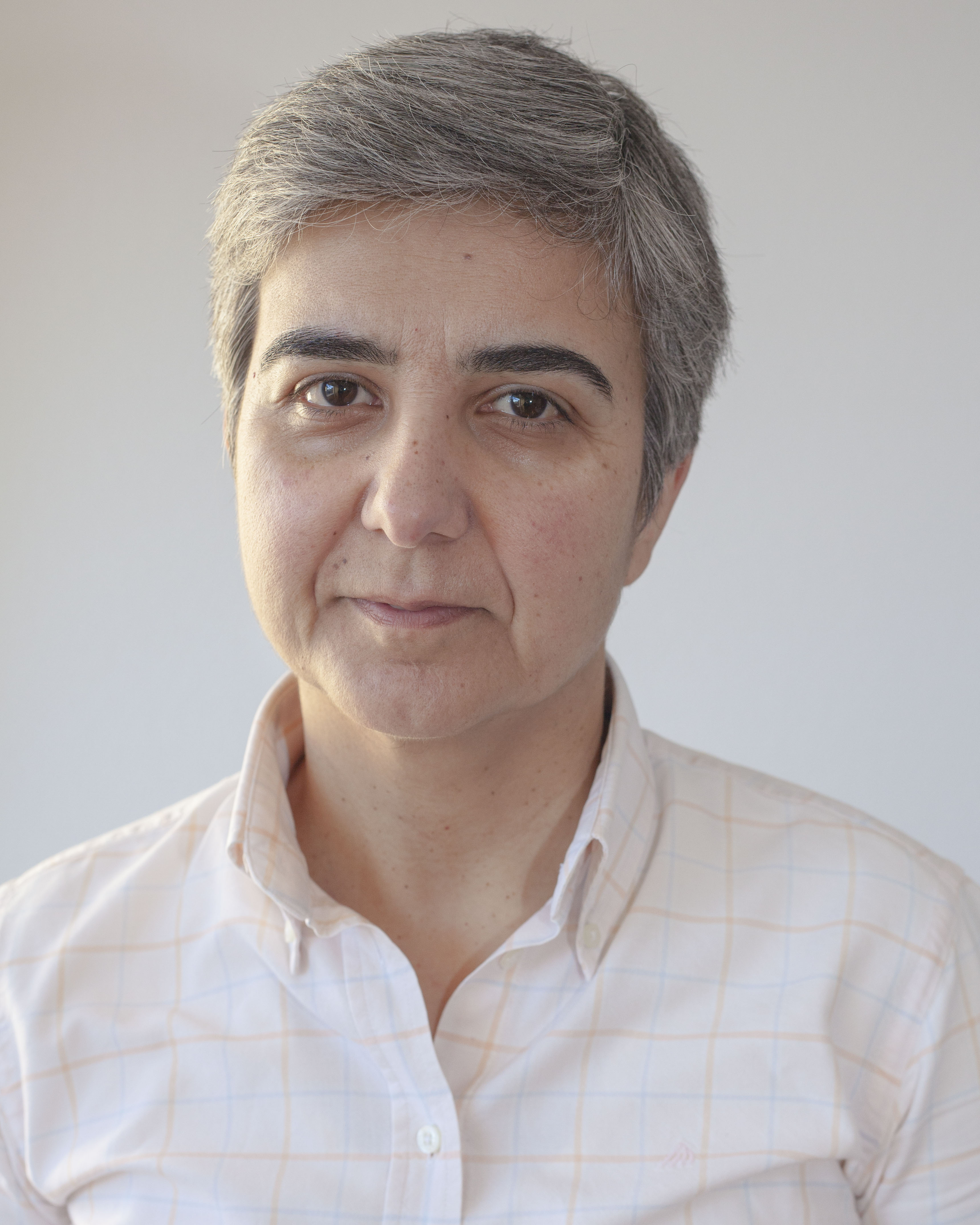 Dr. M. Amparo F. Faustino Dr. M. Amparo F. Faustino