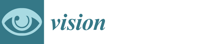 Vision Open Access Journal