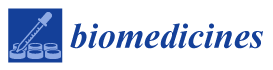 Biomed Logo