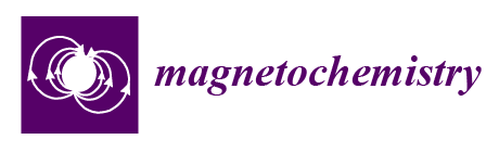 Magchem Logo